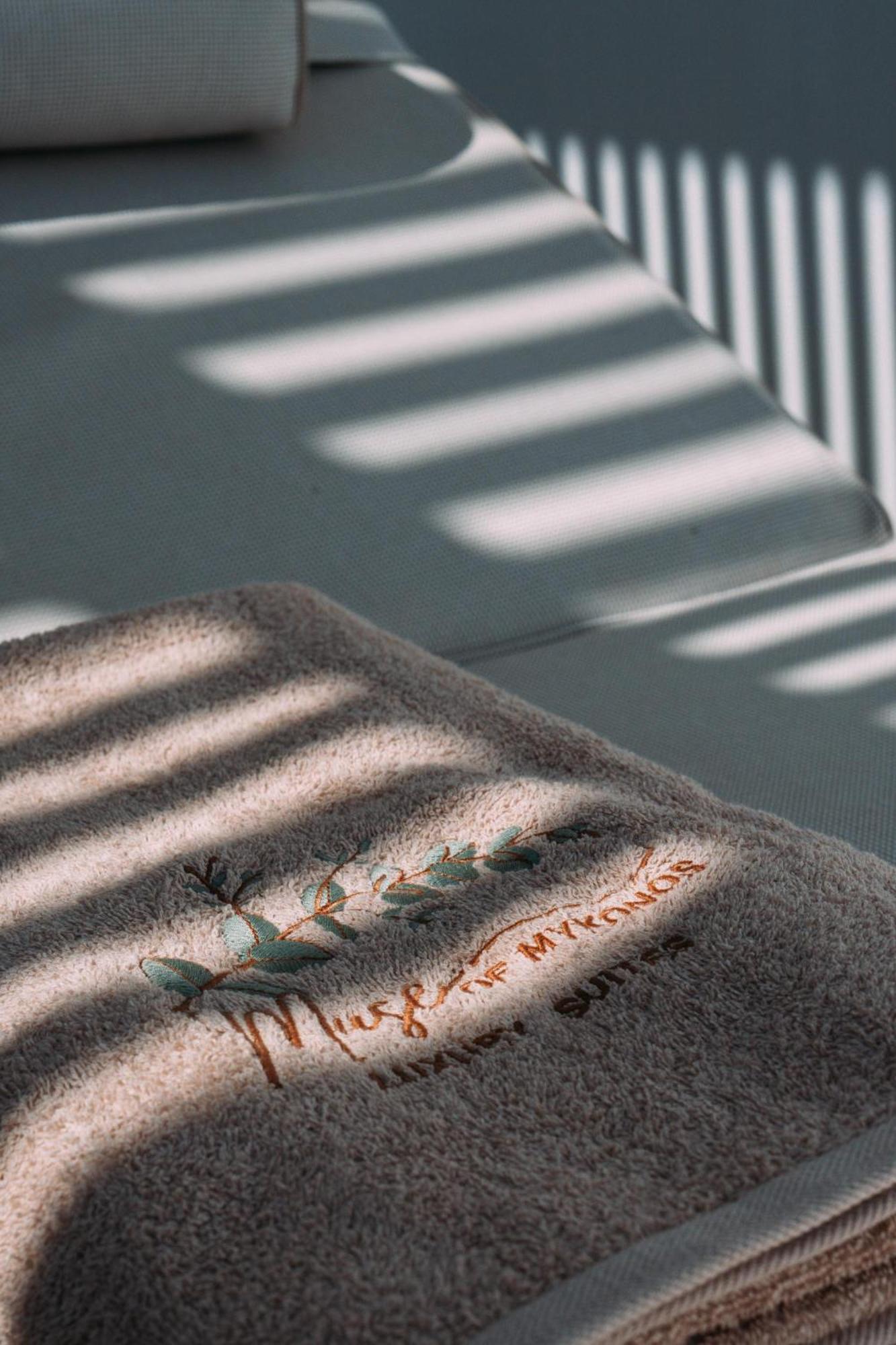 Muse Of Mykonos Luxury *
